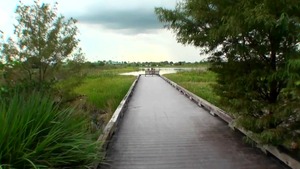 EuroSexParties - Alisa Ford is a bald brunette