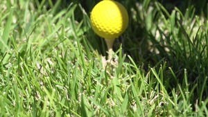 Big Tits in Sport - Cumshot with Lezley Zen & Tyler Nixon