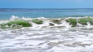 Pornstars Like It Big: Alektra Blue in jeans facial HD