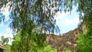 Pornstars Like It Big: Selena Santana reverse cowgirl