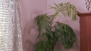 BigButtsLikeItBig - Brown hair Mason Moore squirts porno