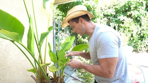 bang! originals: Gardener Plows Alix Lynx After Long Wait